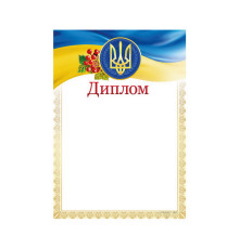 Диплом А4 ДМ-031