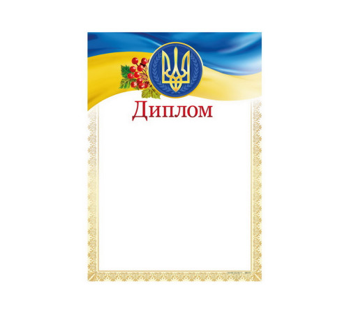 Диплом А4 ДМ-031