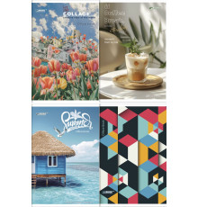 Канцеляская книга  96л.#оф.ф-А4 ТВ-27 обложка-мягкая,