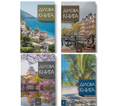 Деловая книга А4 192 л.(384 стр.),клетка,обкл.твердая,серия "Business book", 4 в микс, кл.